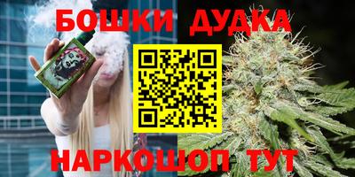 мдпв Будённовск