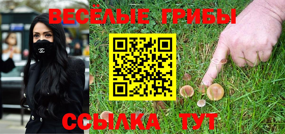 Галлюциногенные грибы прущие грибы  Псилоцибиновые грибы прущие грибы  Сафоново  Вход с VPN 