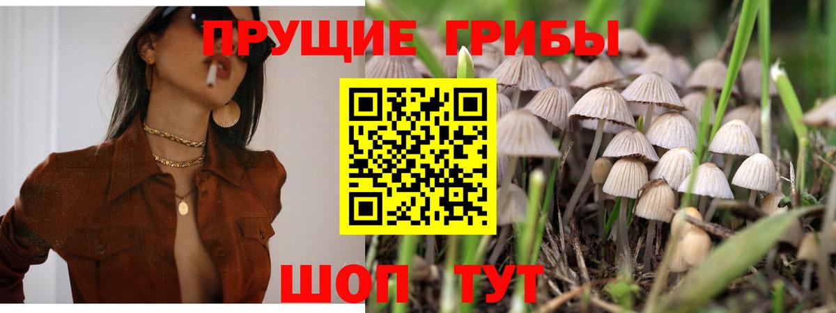 Псилоцибиновые грибы ЛСД Сафоново